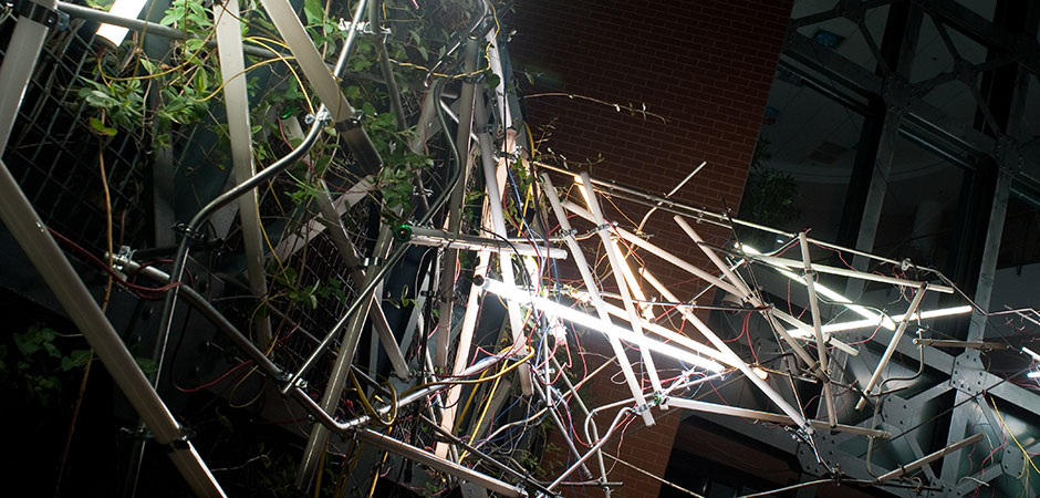 Jacob Stanley, Spanning Systems (a partial rewire), InLight 2010, photo by Terry Brown